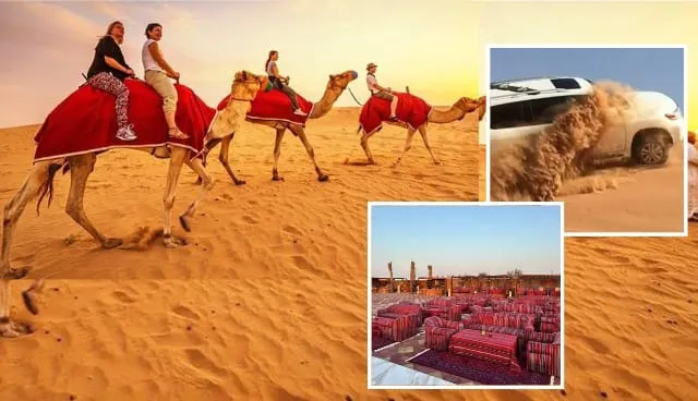 Premium VIP Desert Safari Dubai with luxury camp seating and dune bashing